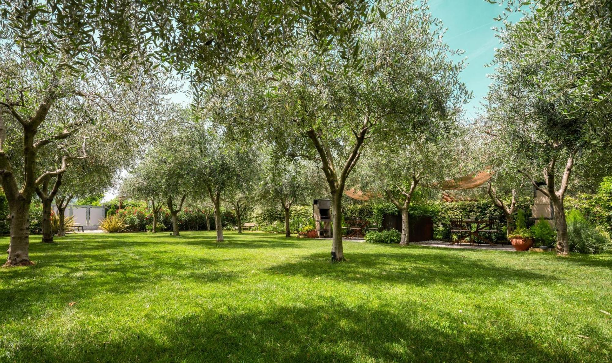 Casa 32 Loft - Garda Lake Torbole Sul Garda Exteriör bild